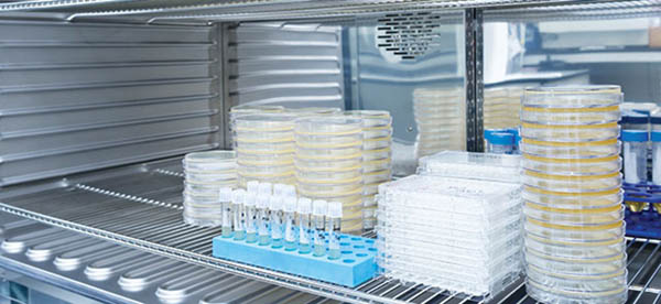 二氧化碳培養(yǎng)箱